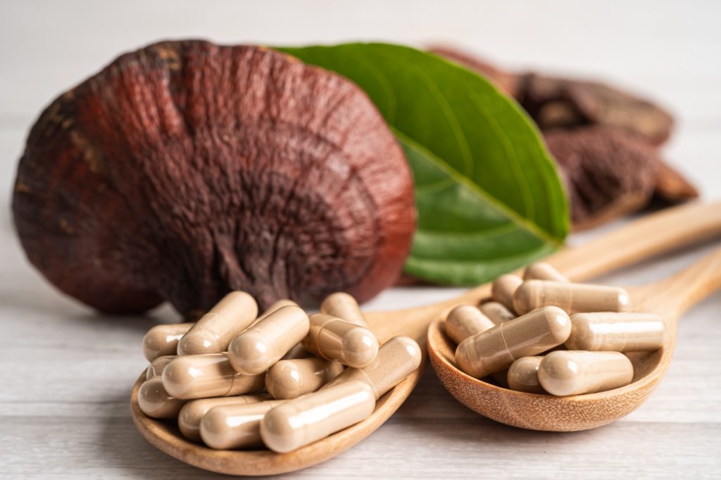 תוספי תזונה לפטריות מרפא