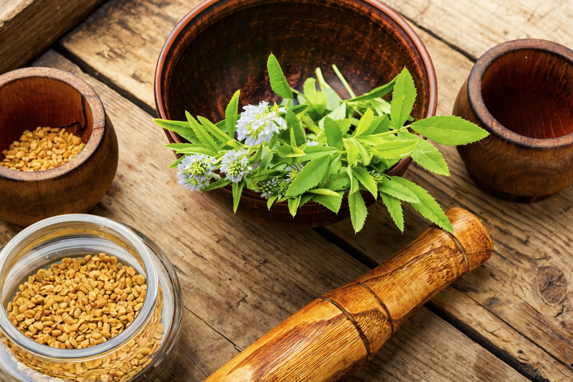 תוספי תזונה חילבה 