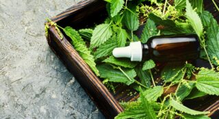 תמצית עלי סרפד ותוספי מזון